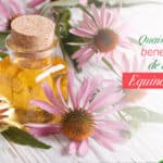 Quais são os benefícios de tomar Equinácea?
